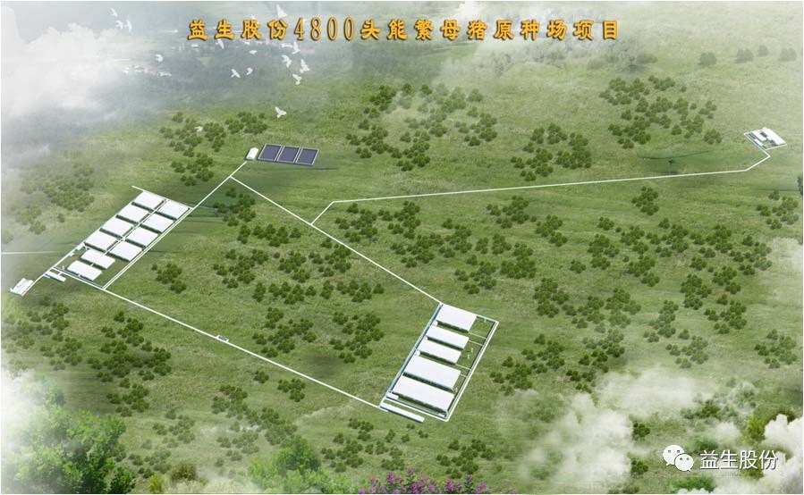 【喜讯】黑龙江ks凯时官网种猪繁育有限公司原种猪场建设项目开工