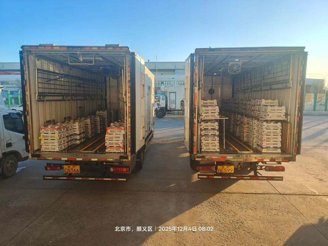 [引种】ks凯时官网股份再度引进法国种源，，，，，，，，龙头职位坚韧保险产业不变